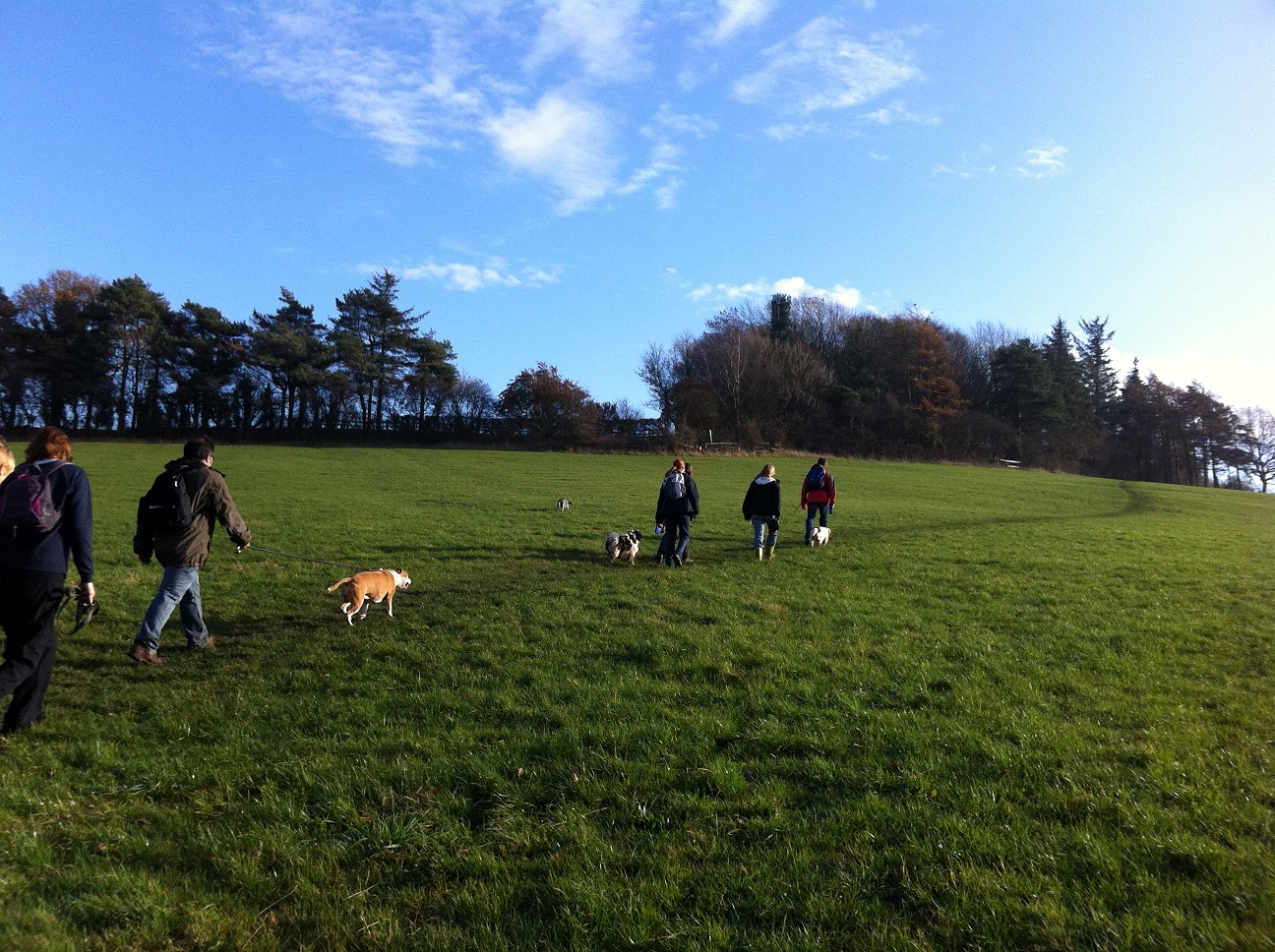 Sheffield Dog Walking Group Sheffield Dog Walking Group